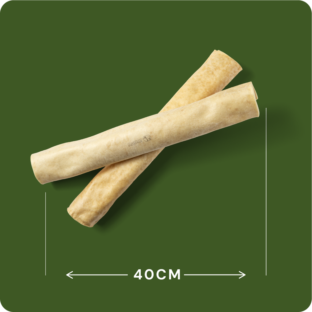 Tuggben Älg - Moose Large