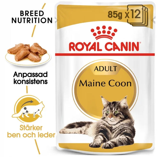 Royal Canin - Cat, Maine Coon 12 x 85 g