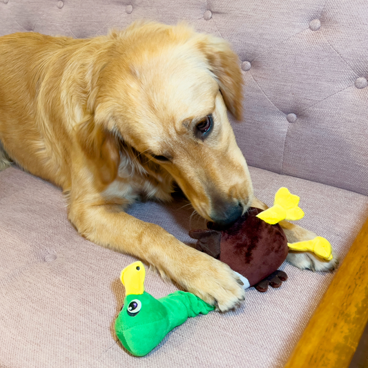 KONG - Shakers Bobz Mallard