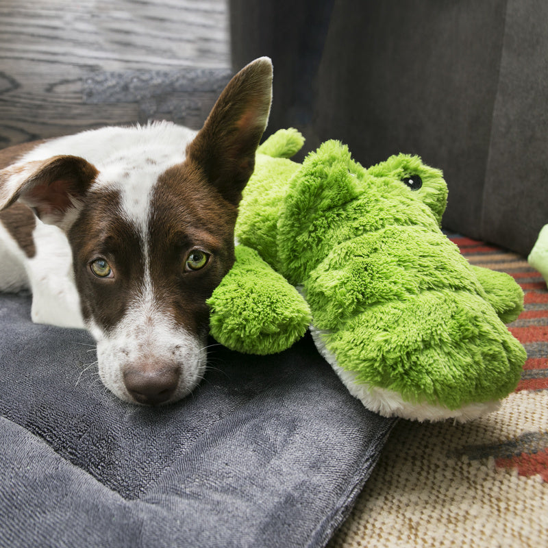 KONG - Cozie Ali Alligator