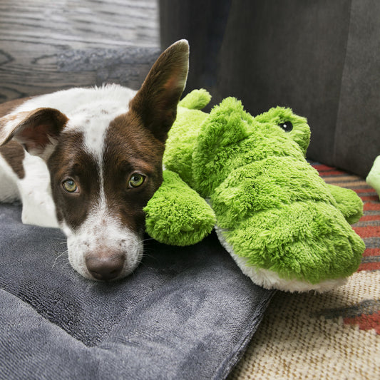 KONG - Cozie Ali Alligator