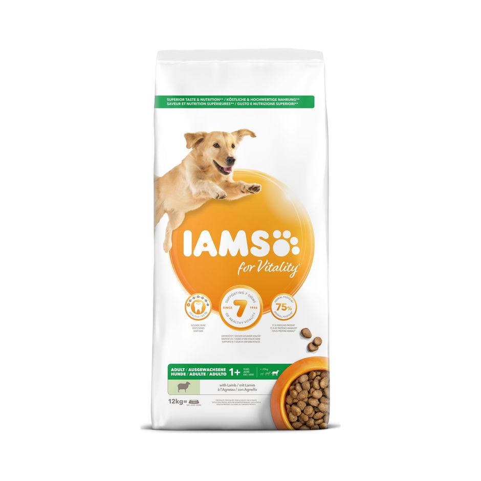 IAMS Adult Large Breed Lamb 12kg