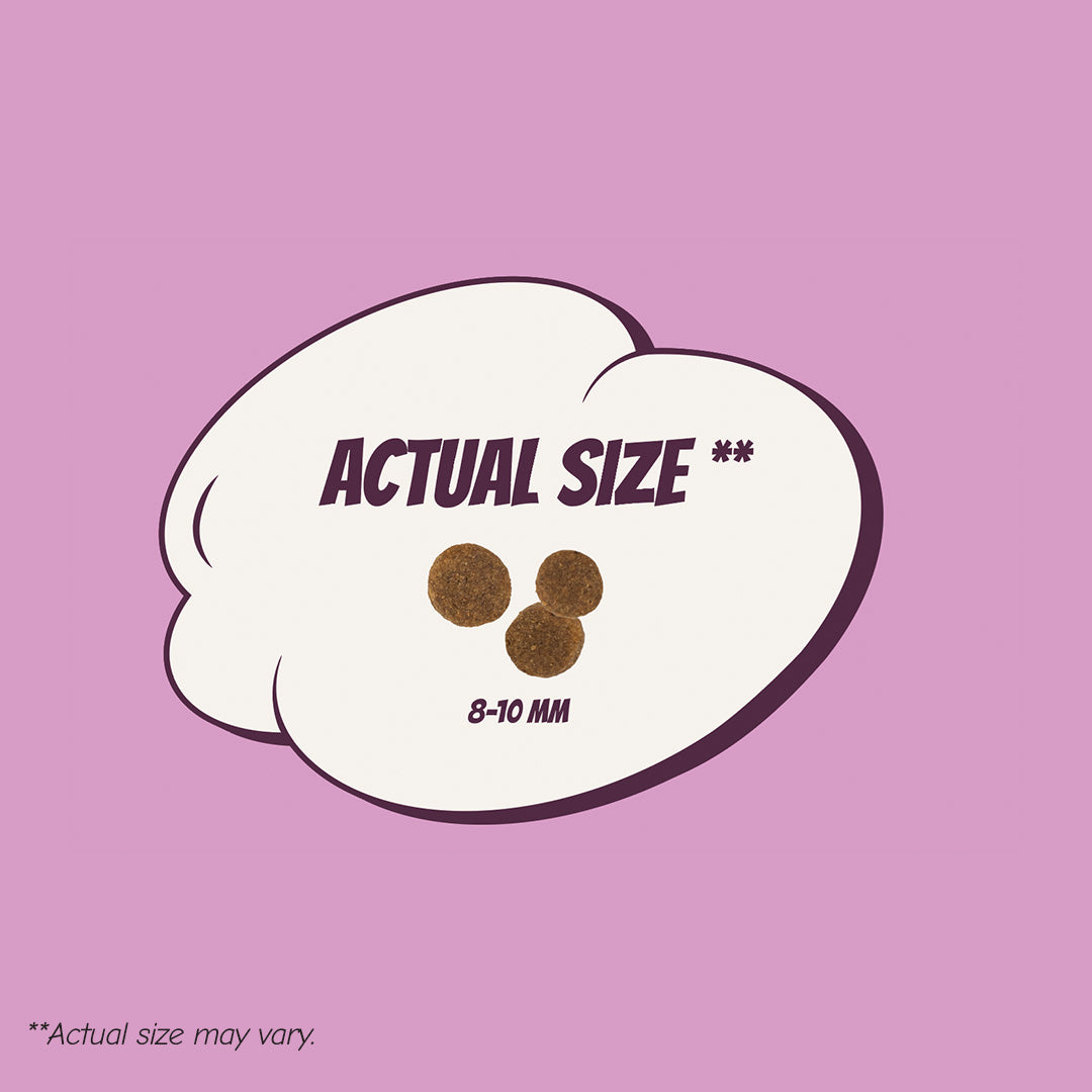 POW! Dog Puppy Small/Medium Pork