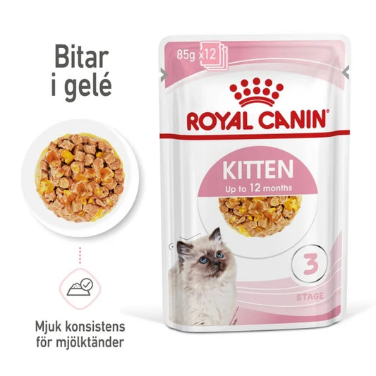 Royal Canin - Cat, Kitten Jelly 12x85 g