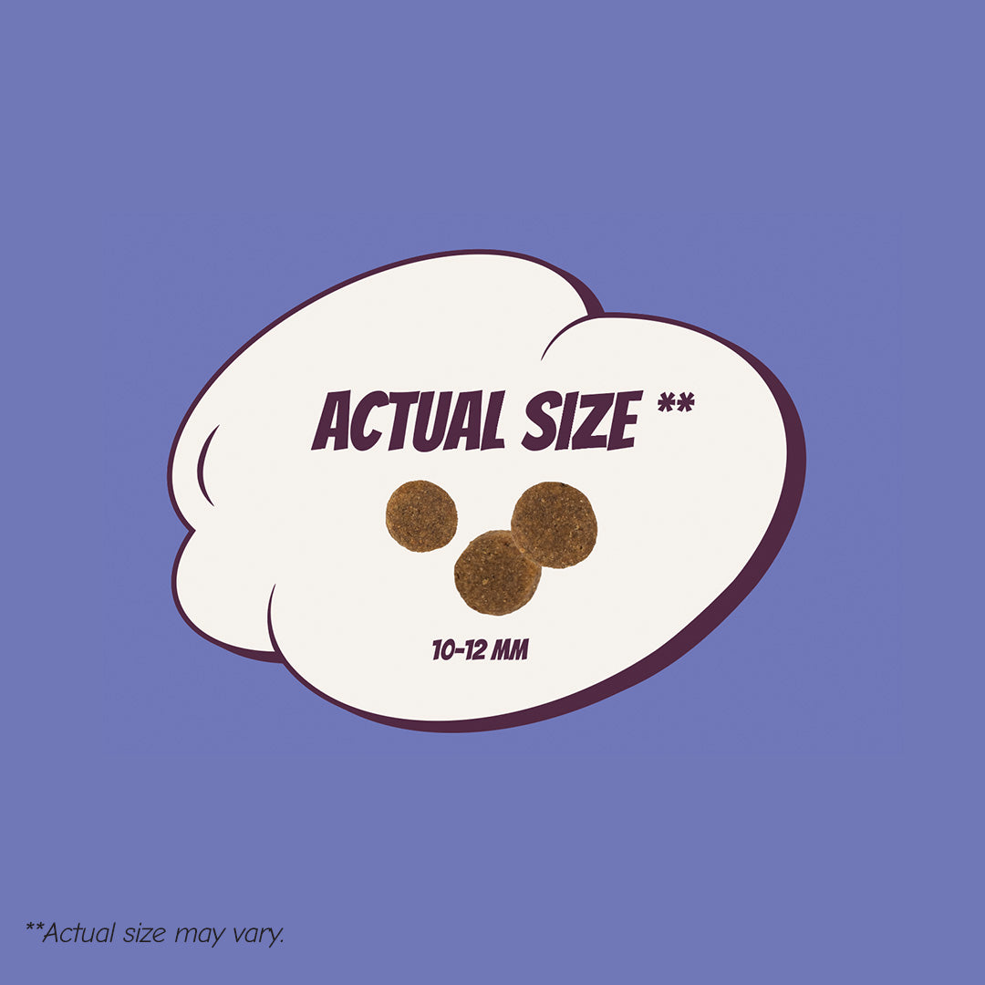 POW! Dog Puppy L / XL