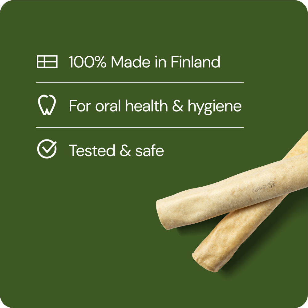 Tuggben Älg - Moose Large