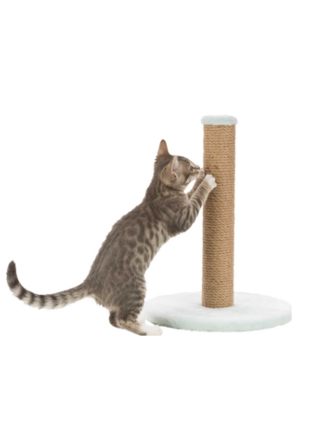 Junior klösmöbel, 42 cm, mint