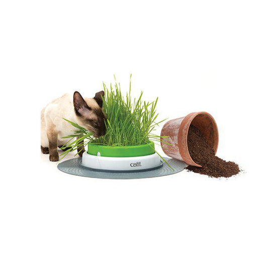 Catit Senses 2.0 gräsplanterare