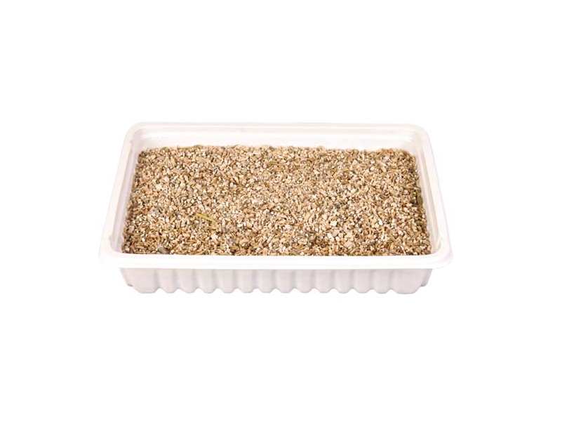 Trixie - Kattgräs med odlingslåda 100 g