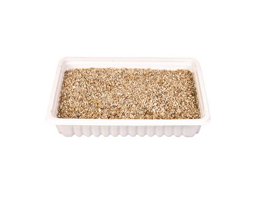 Trixie - Kattgräs med odlingslåda 100 g