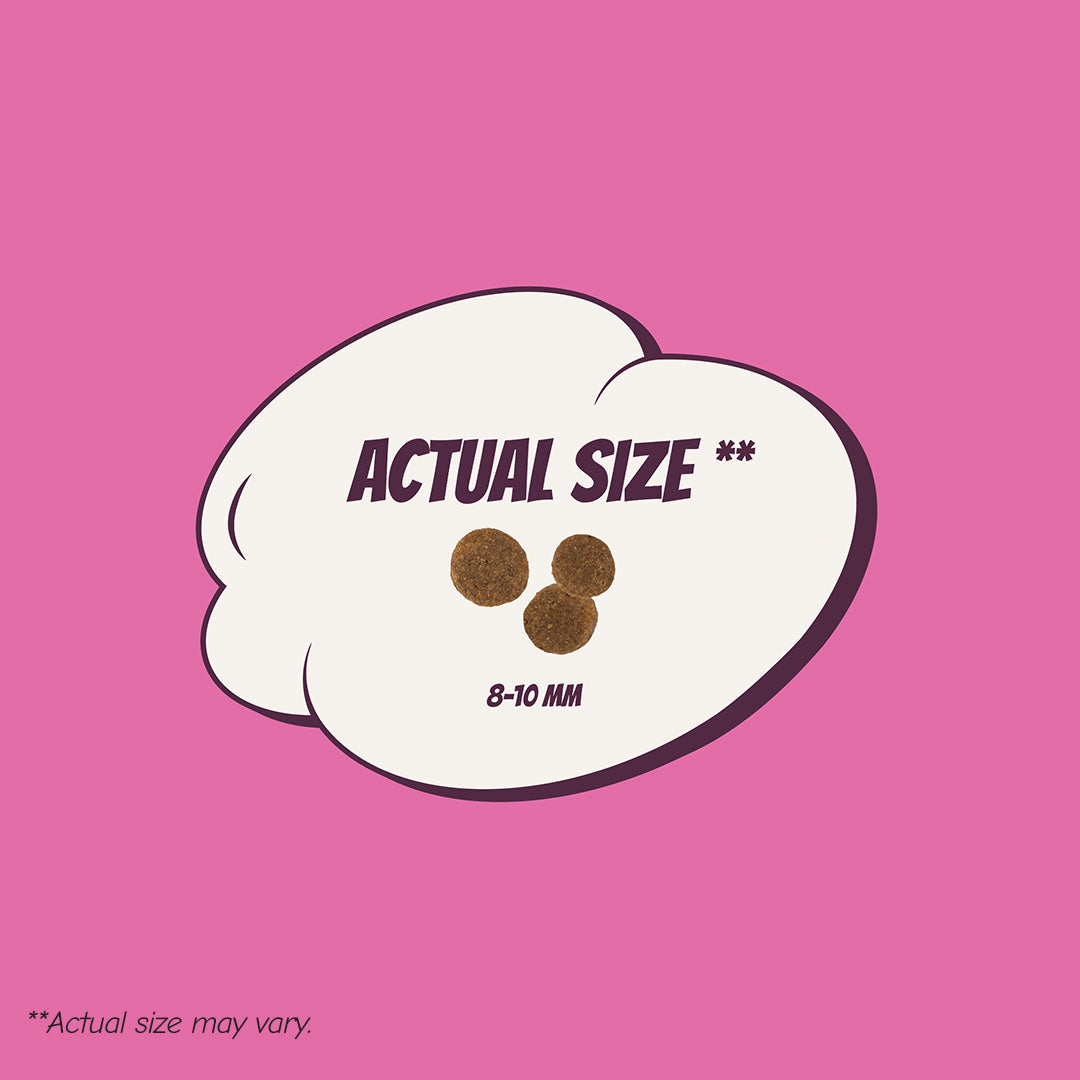 POW! Dog Adult Small/Medium Pork