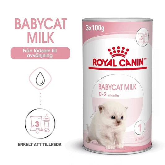 Royal Canin - Katt, Babycat Milk 300gr (3x100gr)