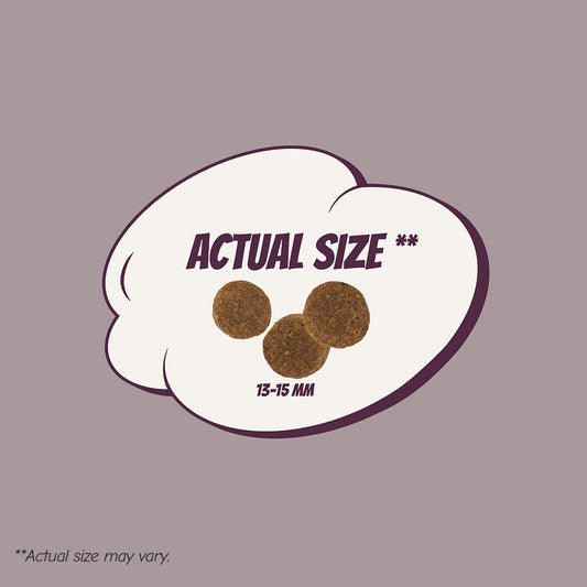 POW! Light/Sterilized