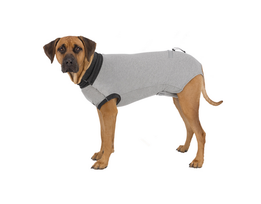 Trixie - Skyddande body, flera storlekar L - XL, grå