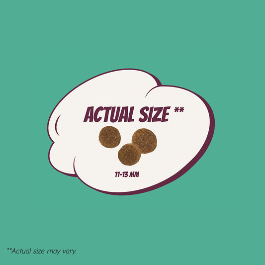 POW! Dog Adult Lamb & Rice