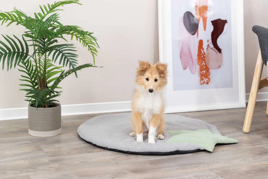 Trixie - Junior Dyna, 86 × 80 cm, grå/mint