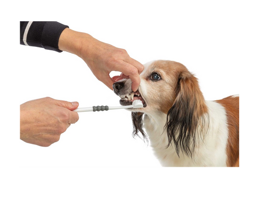 Trixie - Tandborste tresidig, hund/katt, 18 cm, vit/grå