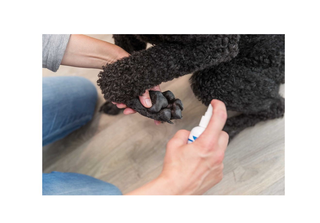 Trixie - Tasspray med Bivax och Aloe Vera 50 ml