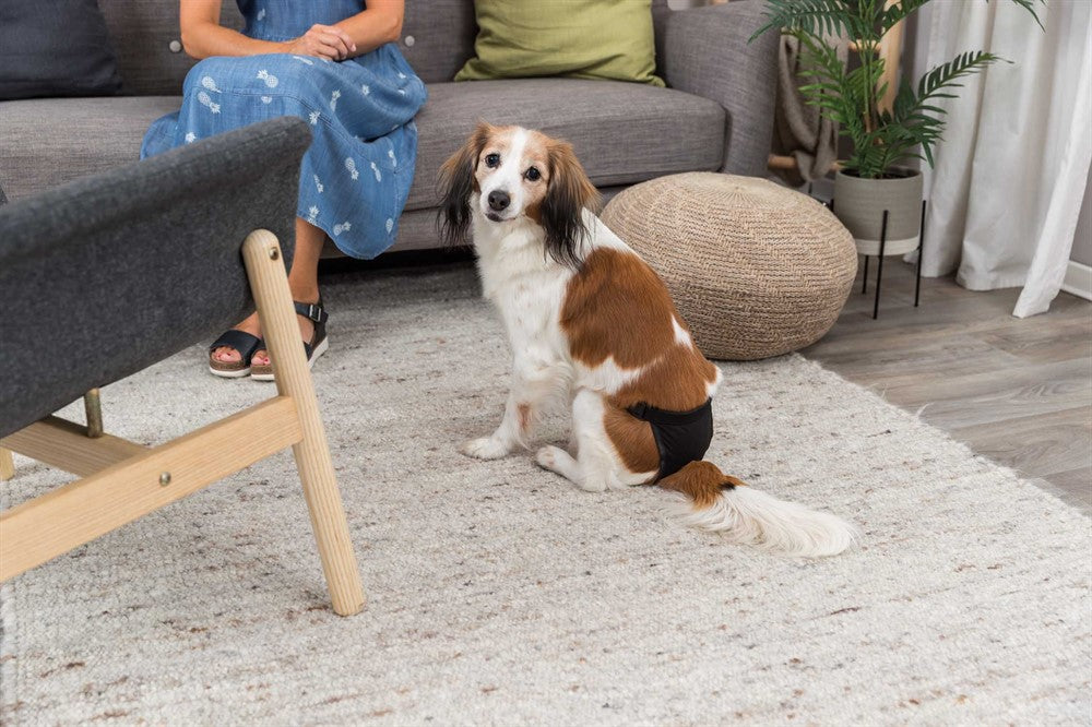 Trixie - Tikskydd, svart, storlekar XS-S/M