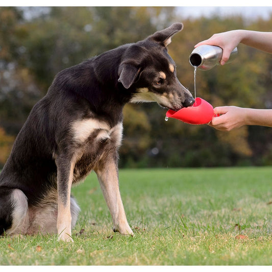  Kong - H2O rostfri flaska 740 ml Blå