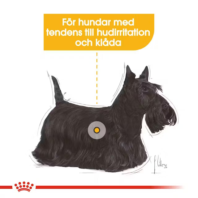  Royal Canin Dermacomfort Wet Våtfoder för hund 12 x 85 g