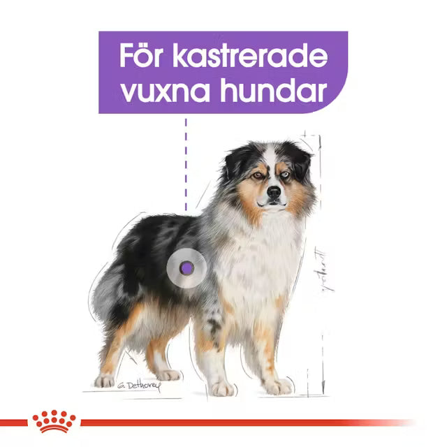 Royal Canin Sterilised Medium Torrfoder Hund