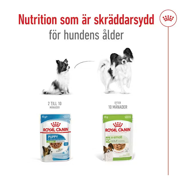  Royal Canin Dog Våtfoder Adult x-small 12 x 85 g